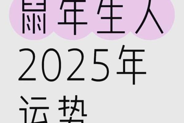 属鼠人2025年全年运势详解：财运、事业和健康需要注意什么？