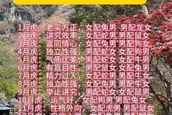 女虎男蛇生肖配对真的合适吗？婚姻长久幸福吗？
