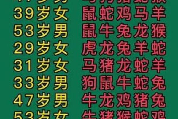 属兔男人最适合与哪些生肖女性结婚共度一生