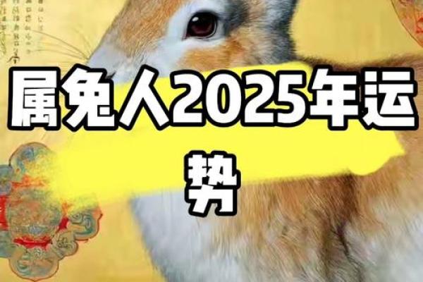1975年出生的生肖兔今年感情运势如何，正缘何时出现