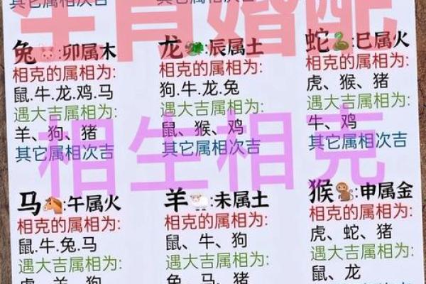 马和鼠生肖配对是否适合婚姻？解析两者性格与运势契合度