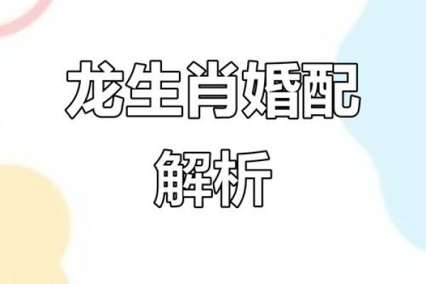2000年属龙男孩最佳婚配年份和姻缘运势分析