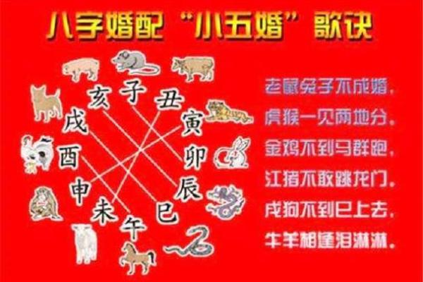 虎和什么生肖最配？揭秘十二生肖中的最佳婚配组合