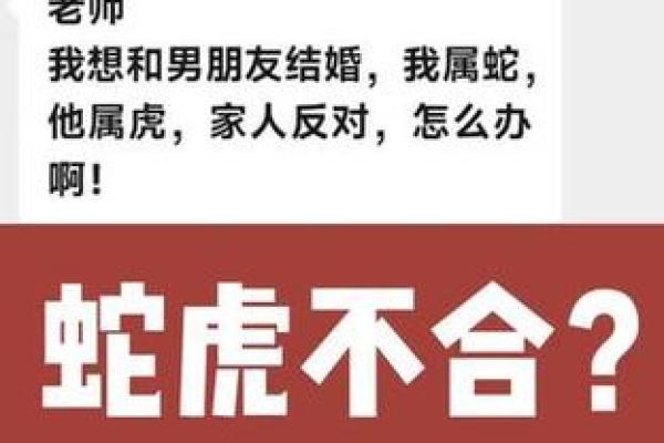 从生肖命理看属虎和属蛇的婚姻配对如何，需要注意哪些方面？