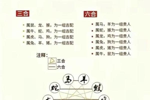 从生肖角度分析，属牛和属兔的人在事业上合作能否共赢？