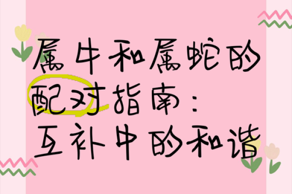 属牛与属羊的婚姻相配度如何？从性格角度分析优缺点