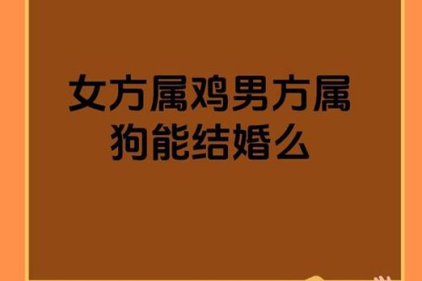 属狗的新娘不能找什么属相的伴娘 结婚属狗忌讳什么属相当伴娘