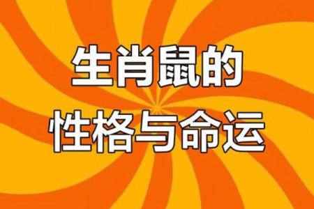属鼠和属马的人结婚在性格和运势上是否真的合适呢？