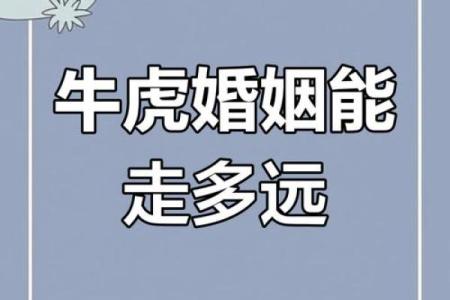 从生肖配对角度分析，老虎和牛的婚姻是否相配以及需要注意哪些方面？