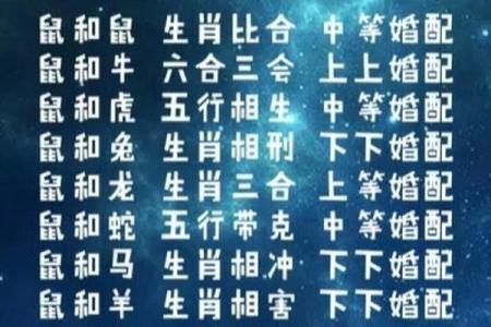 鼠和羊的属相婚配是否相合？解析传统生肖配对说法
