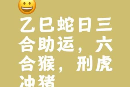 属牛和属蛇的生肖组合在感情中需要注意哪些问题？