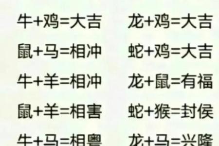 属鸡男婚配属相龙、蛇、牛的具体分析