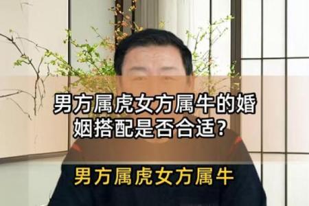 1986年虎女婚姻命运解析，她们的感情道路是否顺利多婚？