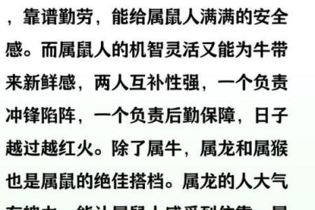 属鼠的人与哪个生肖相冲，婚配或合作需特别注意什么？