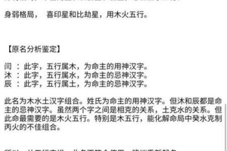 74年属虎女性今年丧夫如何调整心态与面对未来生活规划指南