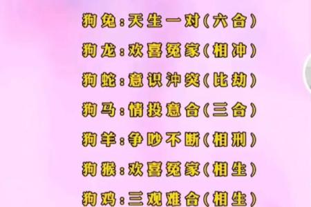 1982年属狗的人二婚会在什么时候遇到正缘呢