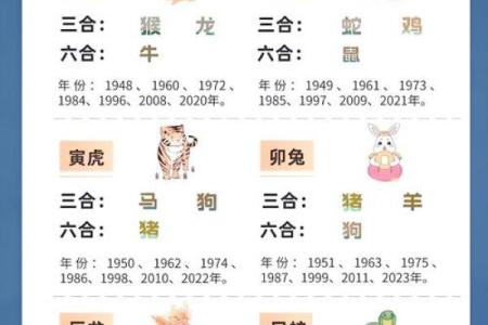 蛇猪属相婚配会有冲突吗？深入解读传统生肖配对中的相合与相克