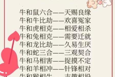 十二生肖婚配属相最佳配对表，哪些属相最合得来？