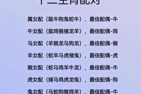 从生肖配对角度分析：97年牛女与95年猪男的婚姻是否旺夫又和睦？