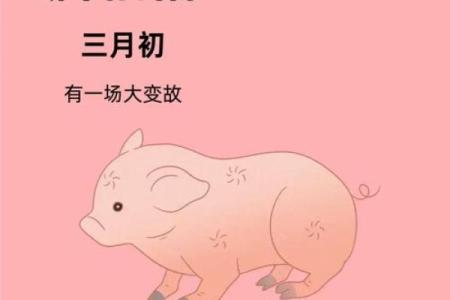 1983年属猪二婚婚姻运势详解，正缘特征与得把眼睛擦亮了