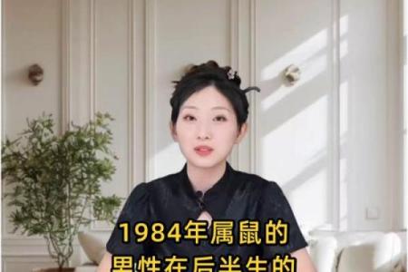 1984年出生的属鼠人第二次婚姻适合在哪一年举办？