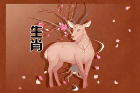 1991年属羊的女性二婚命是真的吗，有什么破解方法？