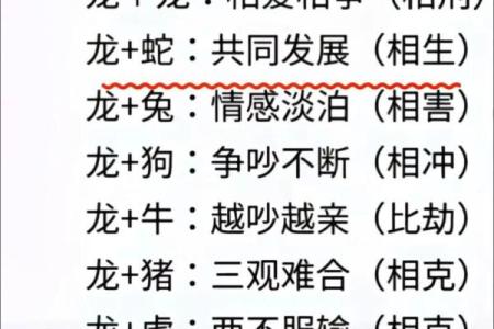 龙和马属相婚配是否合适，需要注意哪些方面？