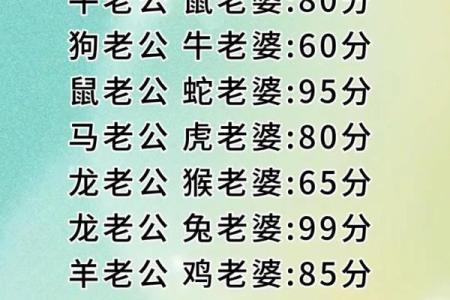 90马和93鸡合婚吗？从生肖配对角度分析婚姻契合度