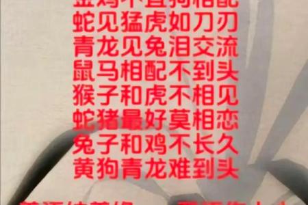 兔龙属相婚配是否真的合适？专家解析传统婚配观念