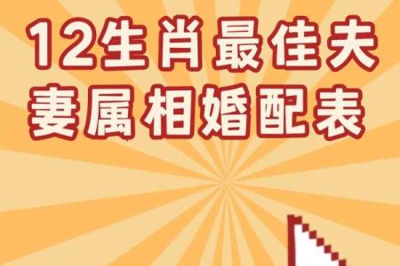 1997年属牛的最佳婚配属相是哪些，性格合得来最重要