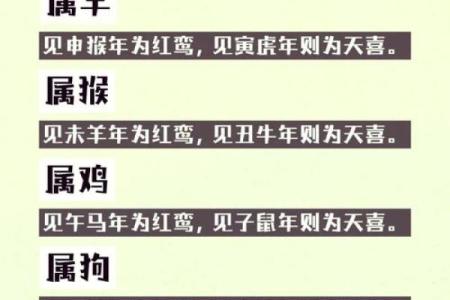 从生肖五行角度分析：鸡和猴的属相组合在婚姻中是否合适