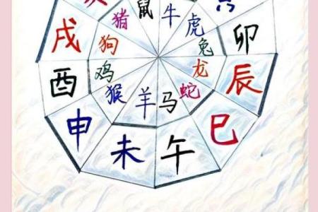 属蛇的与什么属相最合得来，相克属相又该如何避免冲突