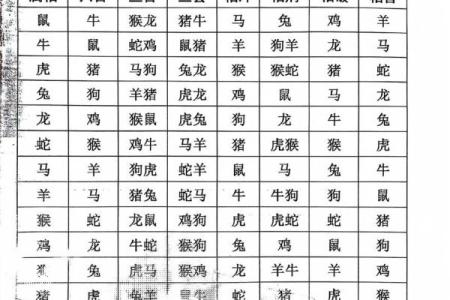 属猪的和哪些生肖相冲相克，在合作与婚配上需注意什么？