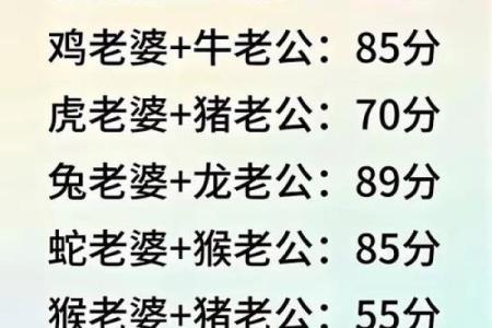 从生肖配对角度分析，属狗的人和什么属相结婚最幸福美满