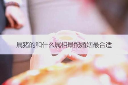1971年属猪的人最佳婚配属相是哪些，婚姻如何