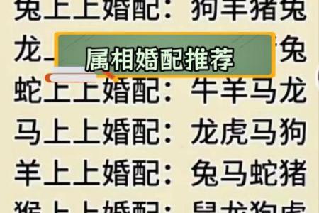 属狗的属相婚配表大全：哪些属相与狗年出生的人最合适结婚