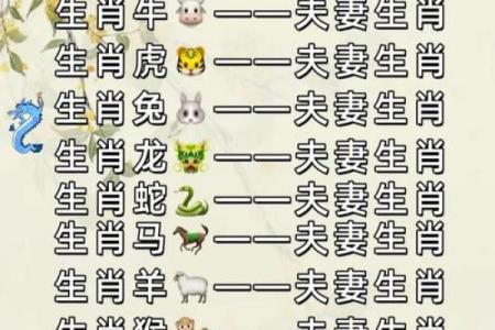 生肖属狗的人在离婚财产分割时需要注意哪些关键问题？