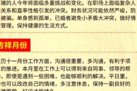 2025年属猪的感情运势详细解析，需要注意哪些方面才能稳定？