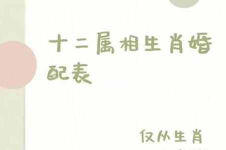 男马生肖配对最佳属相是哪些求推荐