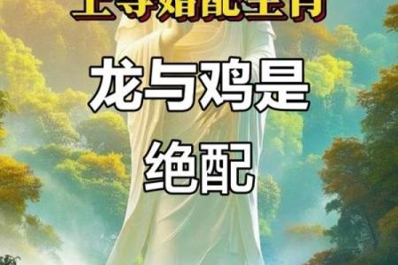 2000年出生属龙女孩与哪些生肖最合适结婚