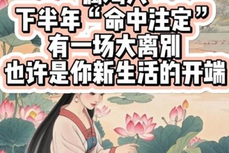属鸡女命中注定的丈夫是哪个属相，婚姻幸福长久的关键因素分析