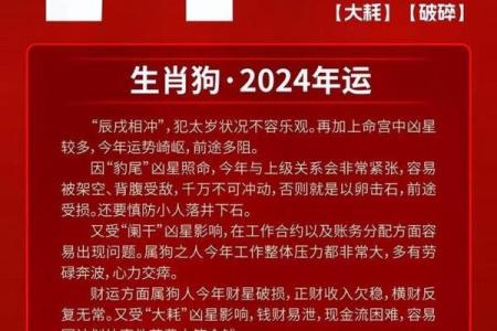 1982年出生的属狗男和什么属相最配婚姻能长久幸福
