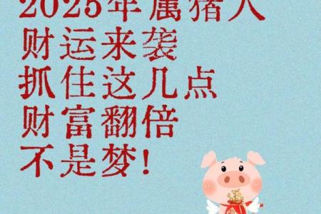 1995年出生的猪生肖在2024年感情走向，正缘何时出现？