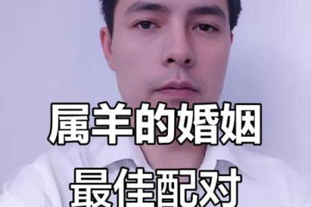 属羊的人与哪些生肖婚配最不吉利需要避开？