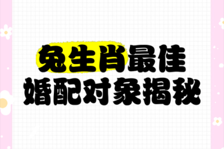 1987年属兔的和什么属相结婚最幸福长久
