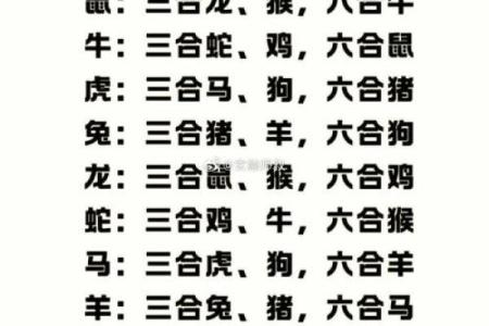 属龙和属马的人在一起合作共事，生肖配对结果如何？