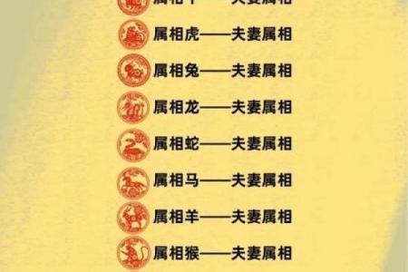 属猴和属猪的夫妻组合在婚姻中需要注意哪些问题？