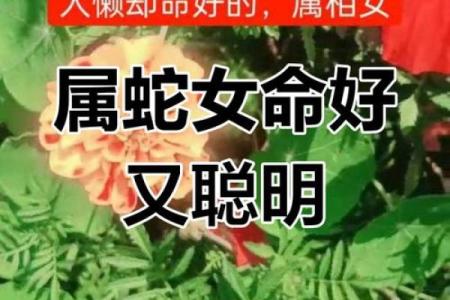 蛇女与属相配对最佳选择，婚姻幸福长久配对指南