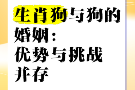 属狗的人性格特点分析及真正喜欢他们的人有哪些特质