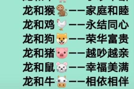 1988年属龙男和1991年属羊女婚配是否相合，婚姻运势如何？